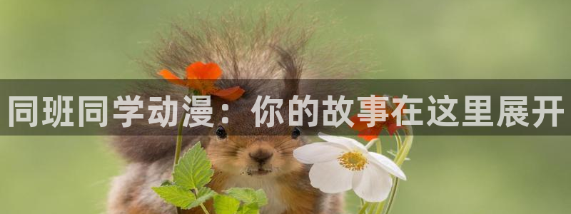 囧次元官方网站入口：同班同学动漫：你的故事在这里展开