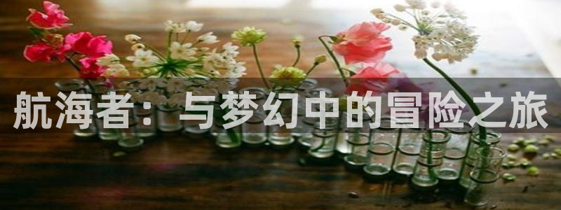 囧次元app下载：航海者：与梦幻中的冒险之旅